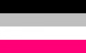Pride-Flag-Gynephilia-300x185